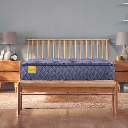 Forsyth Park - Medium Tight Top Mattress